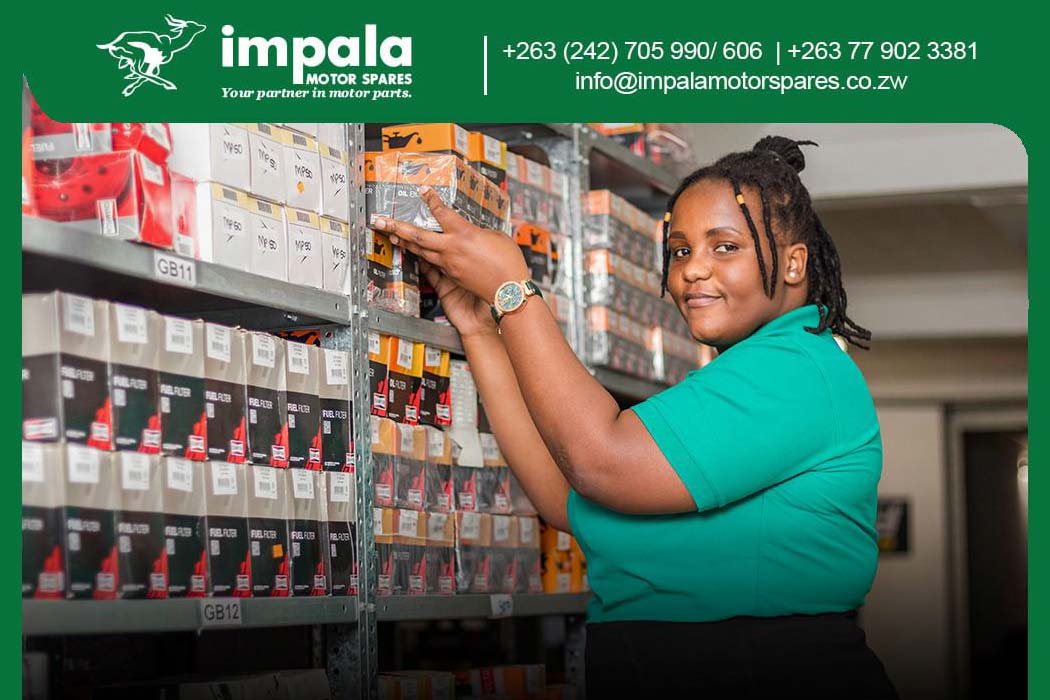 fanadoh photography impala motor spares marketing