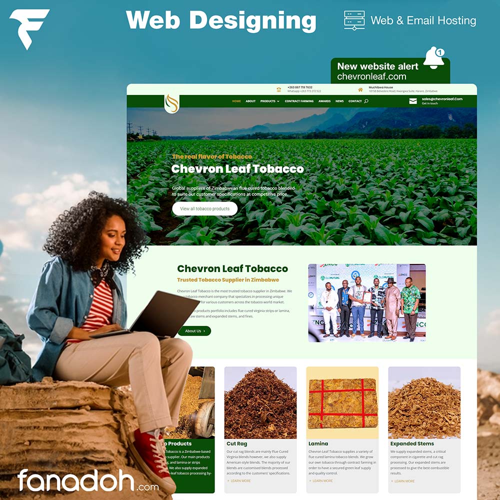 Average cost of website design and hosting harare zimbabwe fanadoh