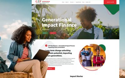 Premium Web Design | Harare, Zimbabwe – Fanadoh